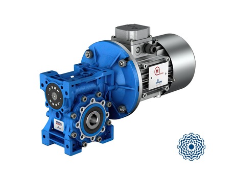 Worm gear reducers